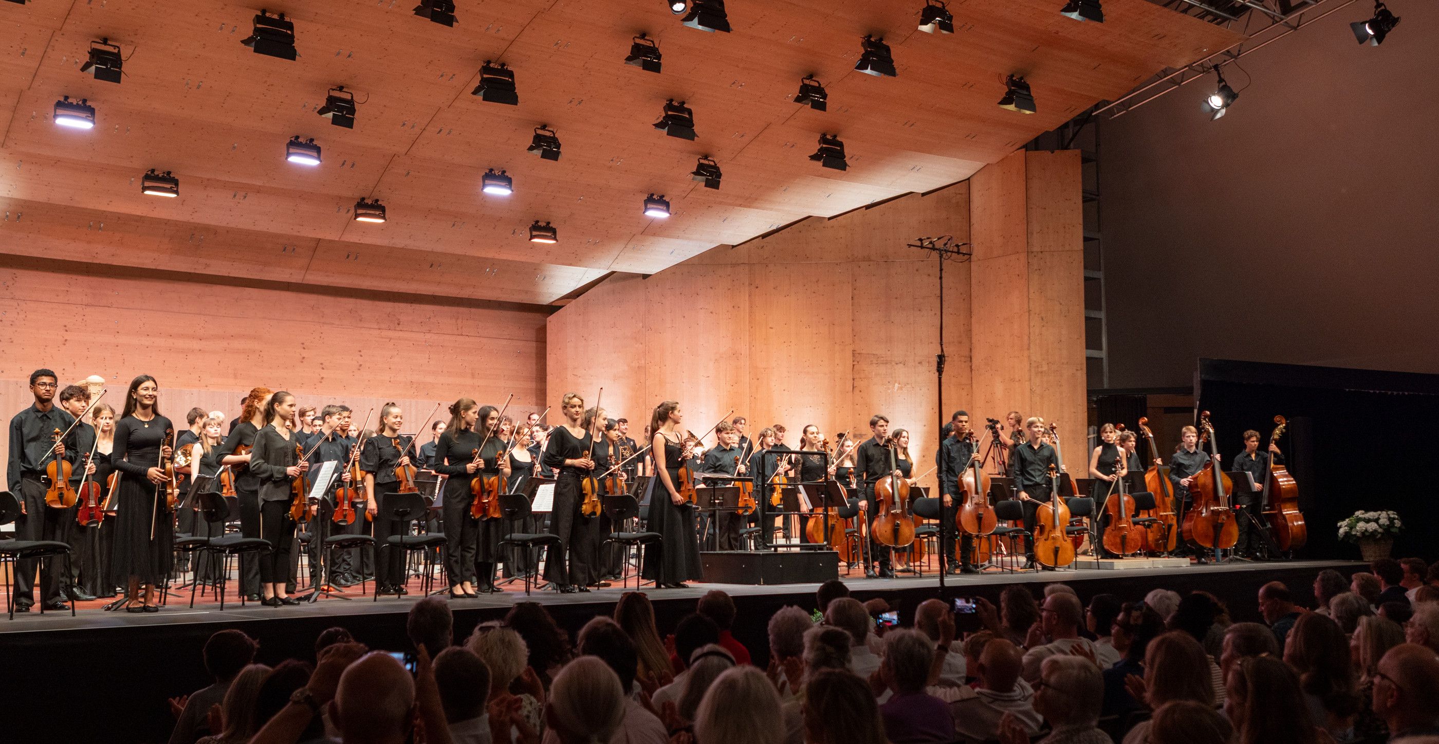 Menuhin Festival Youth Orchestra©Bailey Davidson