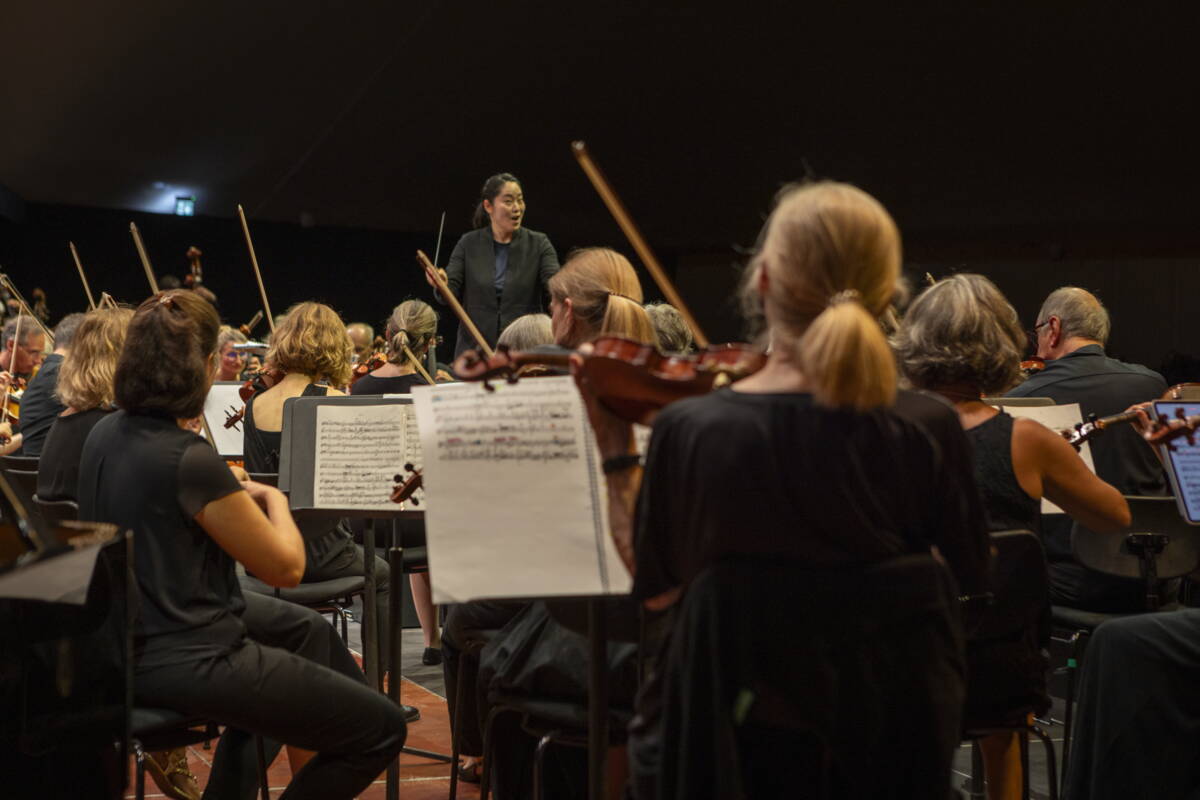 02.08.2026_menuhin_festival_amateur_orchestra_davidson_2.jpeg