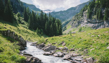 Menuhin Festival Gstaad Menuhin Festival Gstaad